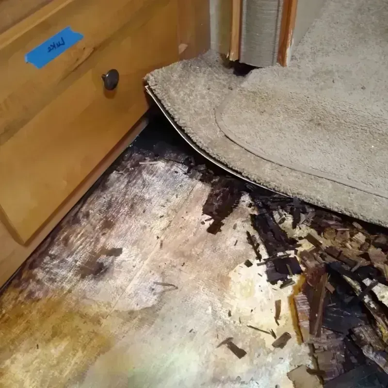 Wood Floor Water Damage in Frisco City, AL